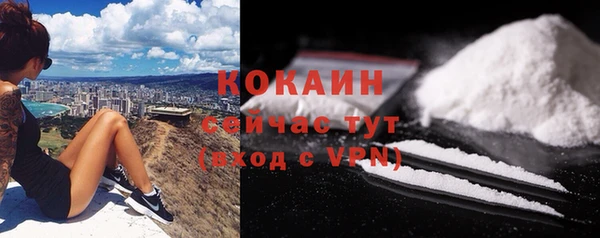 спиды Нефтекумск