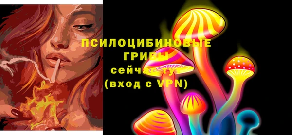 спиды Нефтекумск