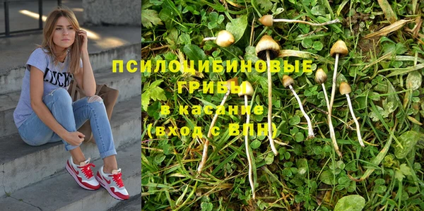 спиды Нефтекумск