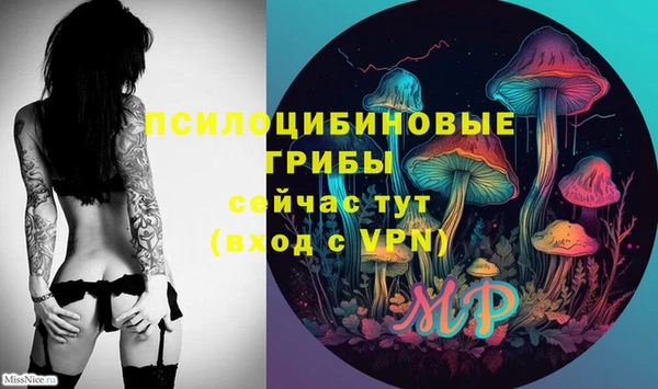 спиды Нефтекумск