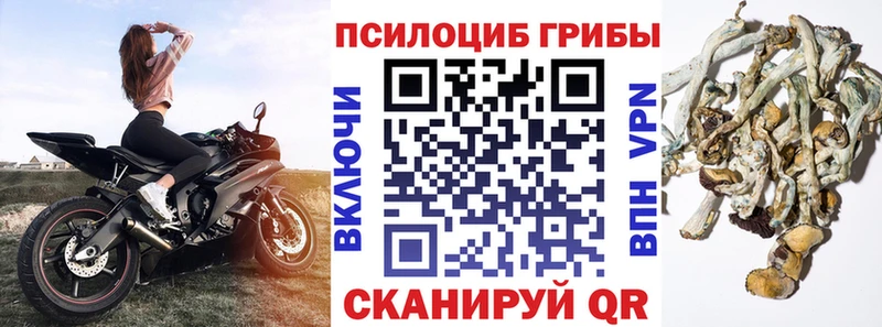 где купить наркоту  Копейск  ОМГ ОМГ   Галлюциногенные грибы прущие грибы 