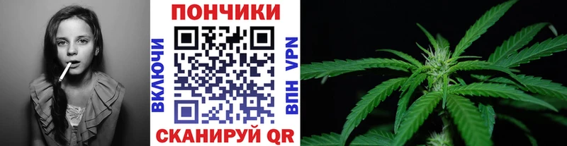 Бошки марихуана VHQ  Копейск 